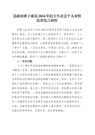 县政府班子成员2024年民主生活会个人对照检查发言材料（四个带头）