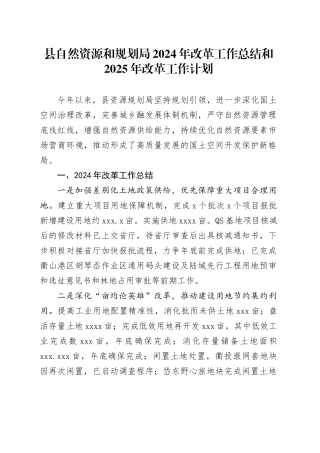 县自然资源和规划局2024年改革工作总结和2025年改革工作计划（20241111）
