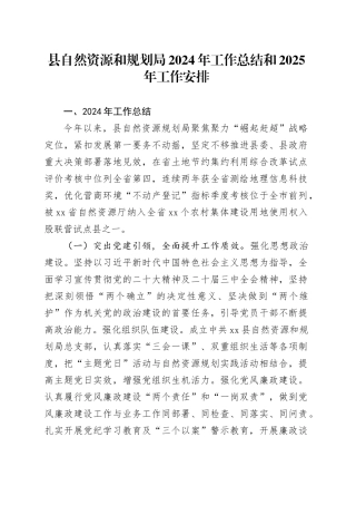 县自然资源和规划局2024年工作总结和2025年工作安排