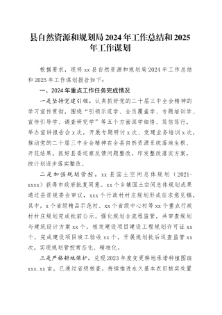 县自然资源和规划局2024年工作总结和2025年工作谋划