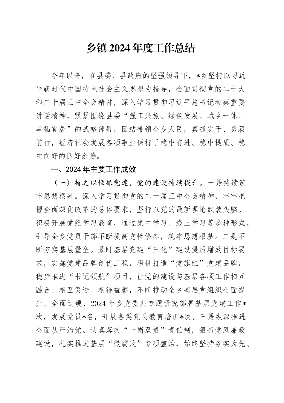 乡镇街道2024年度工作总结_第1页