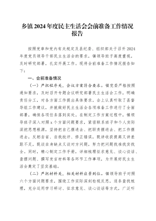 乡镇街道2024年度民主生活会会前准备工作情况报告总结汇报20241225