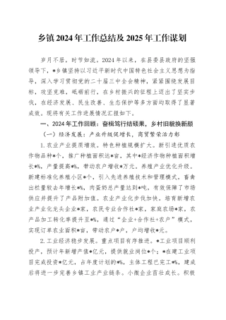 乡镇街道2024年工作总结及2025年工作谋划