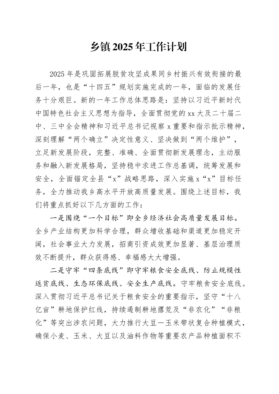 乡镇街道2025年工作计划_第1页