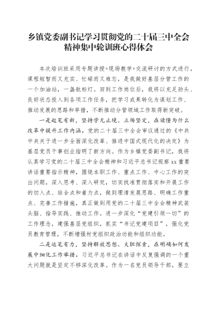 乡镇街道党委副书记学习贯彻党的二十届三中全会精神集中轮训班心得体会20241120