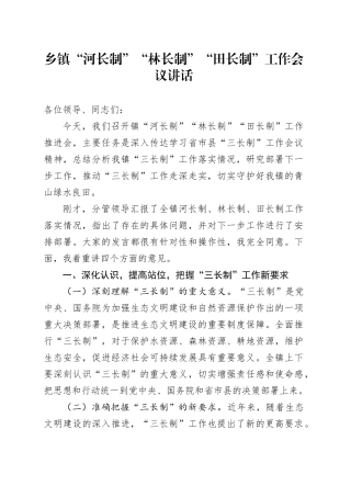 乡镇街道河长制林长制田长制工作会议讲话20241213