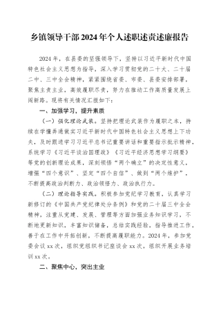 乡镇领导干部2024年个人述职述责述廉报告工作总结汇报20241120