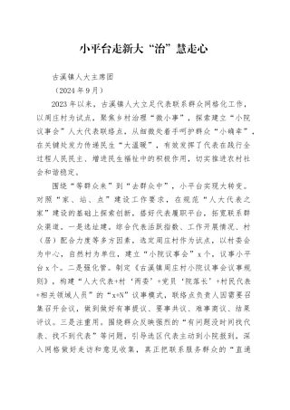 小平台走新 大”治“慧走心（202409）
