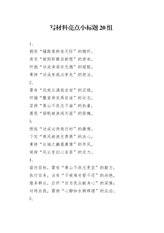 写材料亮点小标题20组