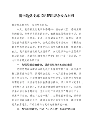 新当选党支部书记任职表态发言材料