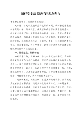新任党支部书记任职表态发言