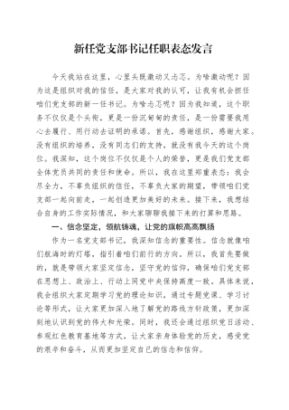 新任党支部书记任职表态发言-2