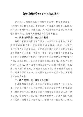 新兴领域党建工作经验材料总结汇报20241204