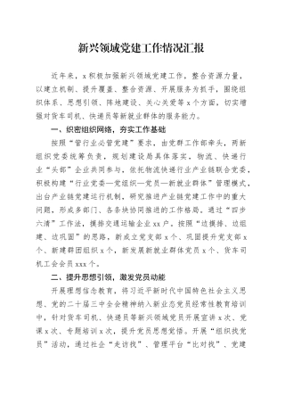新兴领域党建工作情况汇报
