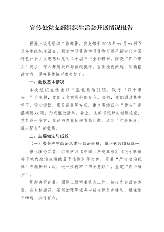 宣传处党支部组织生活会开展情况报告docx