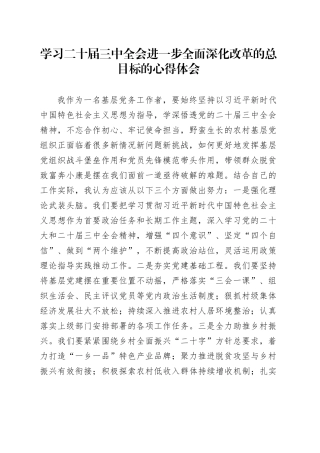 学习二十届三中全会进一步全面深化改革的总目标的心得体会-2