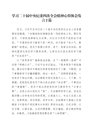 学习二十届中央纪委四次全会精神心得体会发言2篇