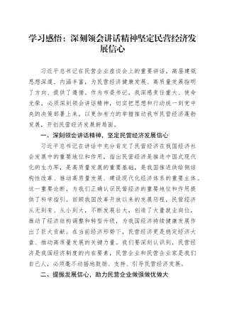 学习感悟：深刻领会讲话精神 坚定民营经济发展信心