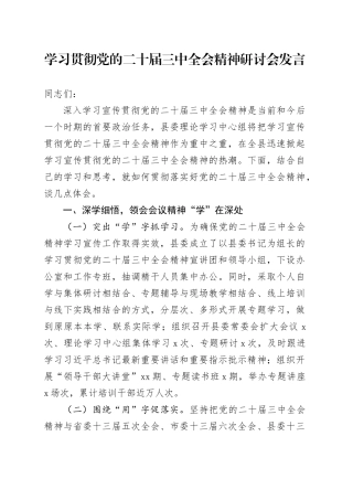 学习贯彻党的二十届三中全会精神研讨会发言