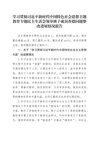 学习贯彻习近平新时代中国特色社会思想主题教育专题民主生活会领导班子成员查摆问题整改进展情况报告