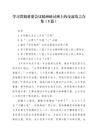 学习贯彻重要会议精神研讨班上的交流发言合集（5篇）