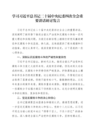 学习习近平总书记二十届中央纪委四次全会重要讲话研讨发言