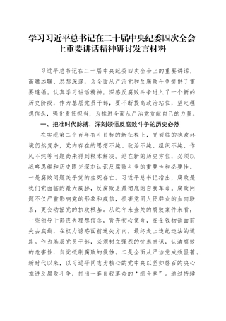 学习习近平总书记在二十届中央纪委四次全会上重要讲话精神研讨发言材料20250115