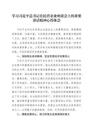 学习习近平总书记在民营企业座谈会上的重要讲话精神心得体会