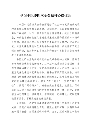 学习中纪委四次全会精神心得体会