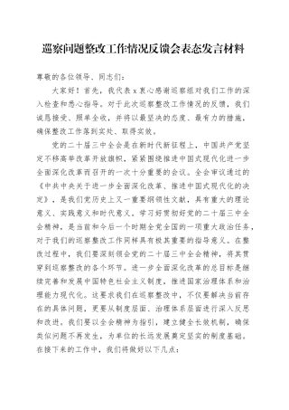 巡察问题整改工作情况反馈会表态发言材料20241113
