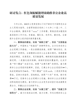 研讨发言：红色领航 赋能增效 助推非公企业高质量发展