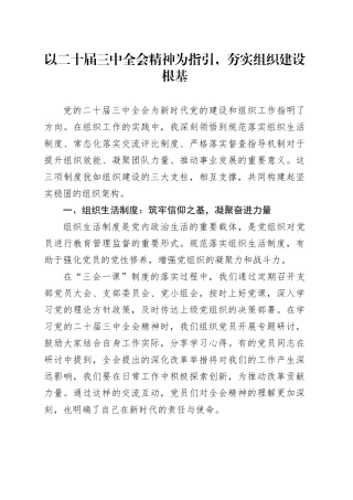 以二十届三中全会精神为指引，夯实组织建设根基