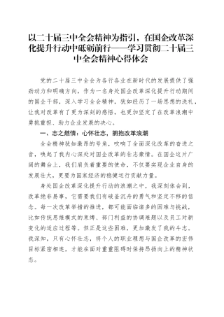 以二十届三中全会精神为指引，在国企改革深化提升行动中砥砺前行——学习贯彻二十届三中全会精神心得体会