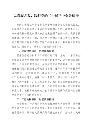 以青春之我，践行党的二十届三中全会精神