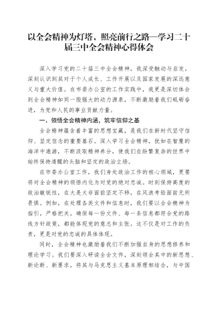 以全会精神为灯塔，照亮前行之路—学习二十届三中全会精神心得体会