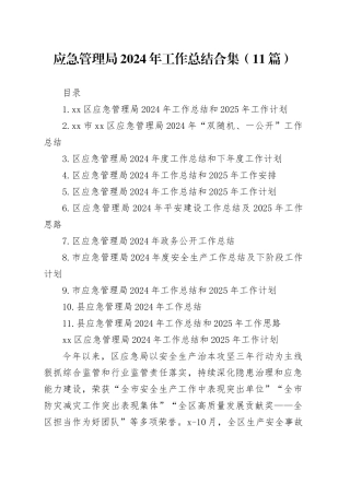 应急管理局2024年工作总结合集（11篇）