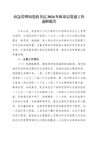 应急管理局党组书记2024年抓基层党建工作述职报告20241218