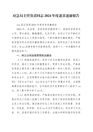 应急局主任负责同志2024年度述责述廉报告