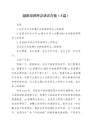 迎新春团拜会讲话合集（3篇）