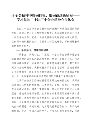 于全会精神中磨砺自我，砥砺奋进新征程——学习党的二十届三中全会精神心得体会