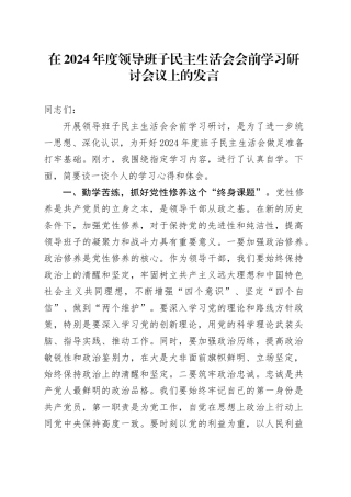 在2024年度领导班子民主生活会会前学习研讨会议上的发言