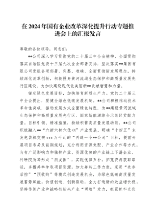 在2024年国有企业改革深化提升行动专题推进会上的汇报发言