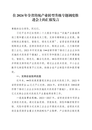 在2024年全省传统产业转型升级专题调度推进会上的汇报发言
