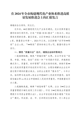 在2024年全市构建现代化产业体系推进高质量发展推进会上的汇报发言