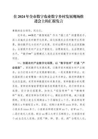 在2024年全市数字农业数字乡村发展现场推进会上的汇报发言