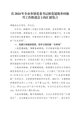 在2024年全市乡镇街道党委书记抓党建促乡村振兴工作推进会上的汇报发言