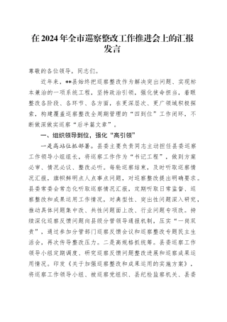 在2024年全市巡察整改工作推进会上的汇报发言