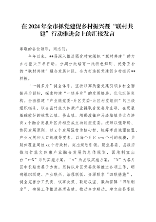 在2024年全市抓党建促乡村振兴暨“联村共建”行动推进会上的汇报发言