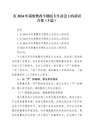 在2024年巡察整改专题民主生活会上的讲话合集（3篇）