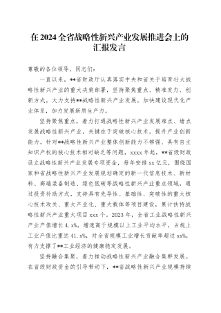 在2024全省战略性新兴产业发展推进会上的汇报发言